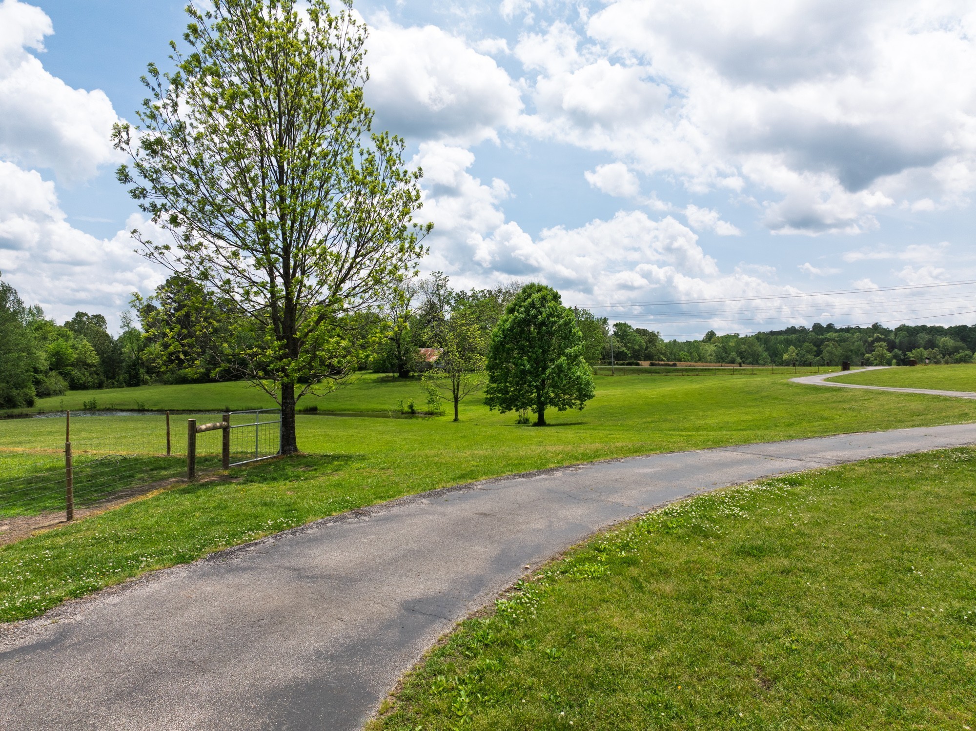 3080 Bible Hill Road Parsons, TN 38363 - Photo 50 of 76 a view of a park and trees in the background