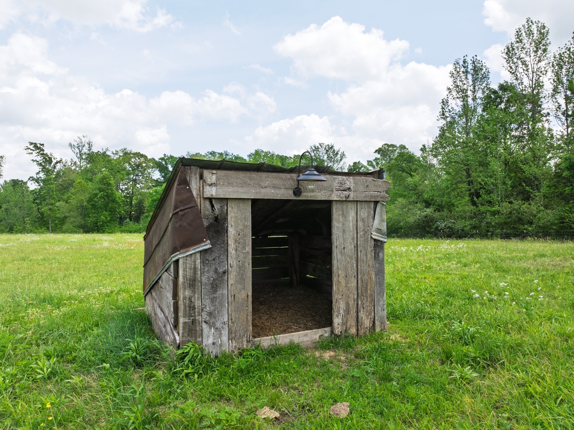 3080 Bible Hill Road Parsons, TN 38363 - Photo 57 of 76