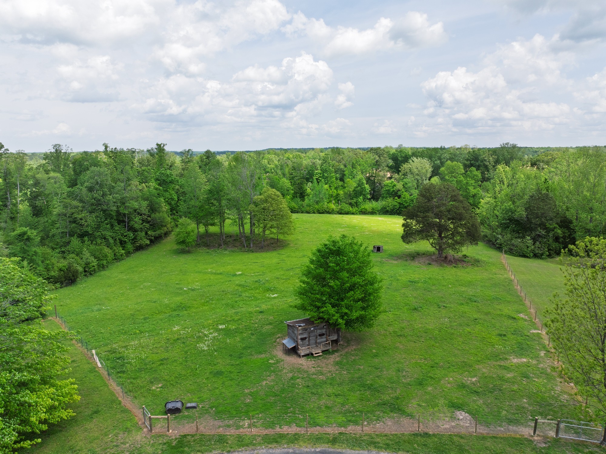 3080 Bible Hill Road Parsons, TN 38363 - Photo 58 of 76