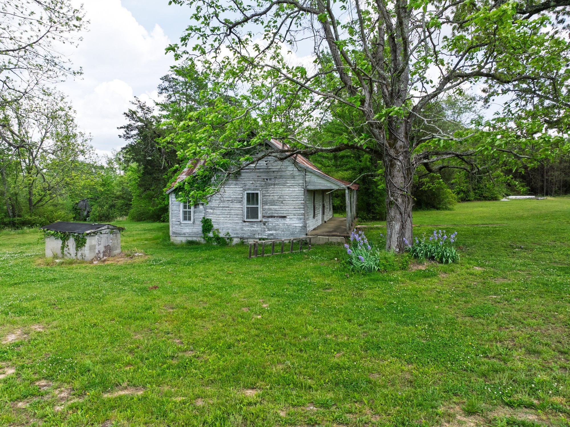 3080 Bible Hill Road Parsons, TN 38363 - Photo 65 of 76 a front view of house with a garden and trees