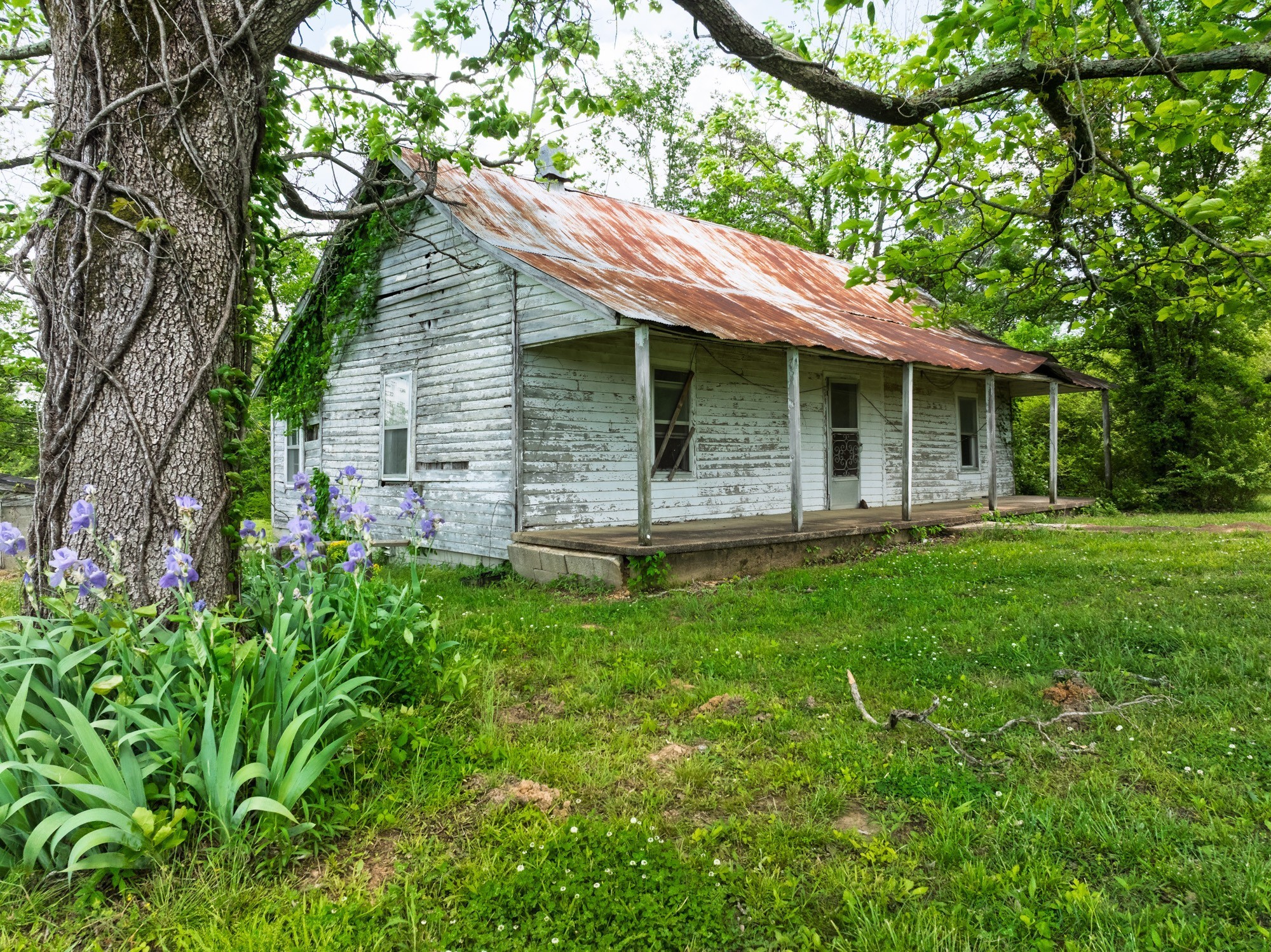 3080 Bible Hill Road Parsons, TN 38363 - Photo 66 of 76