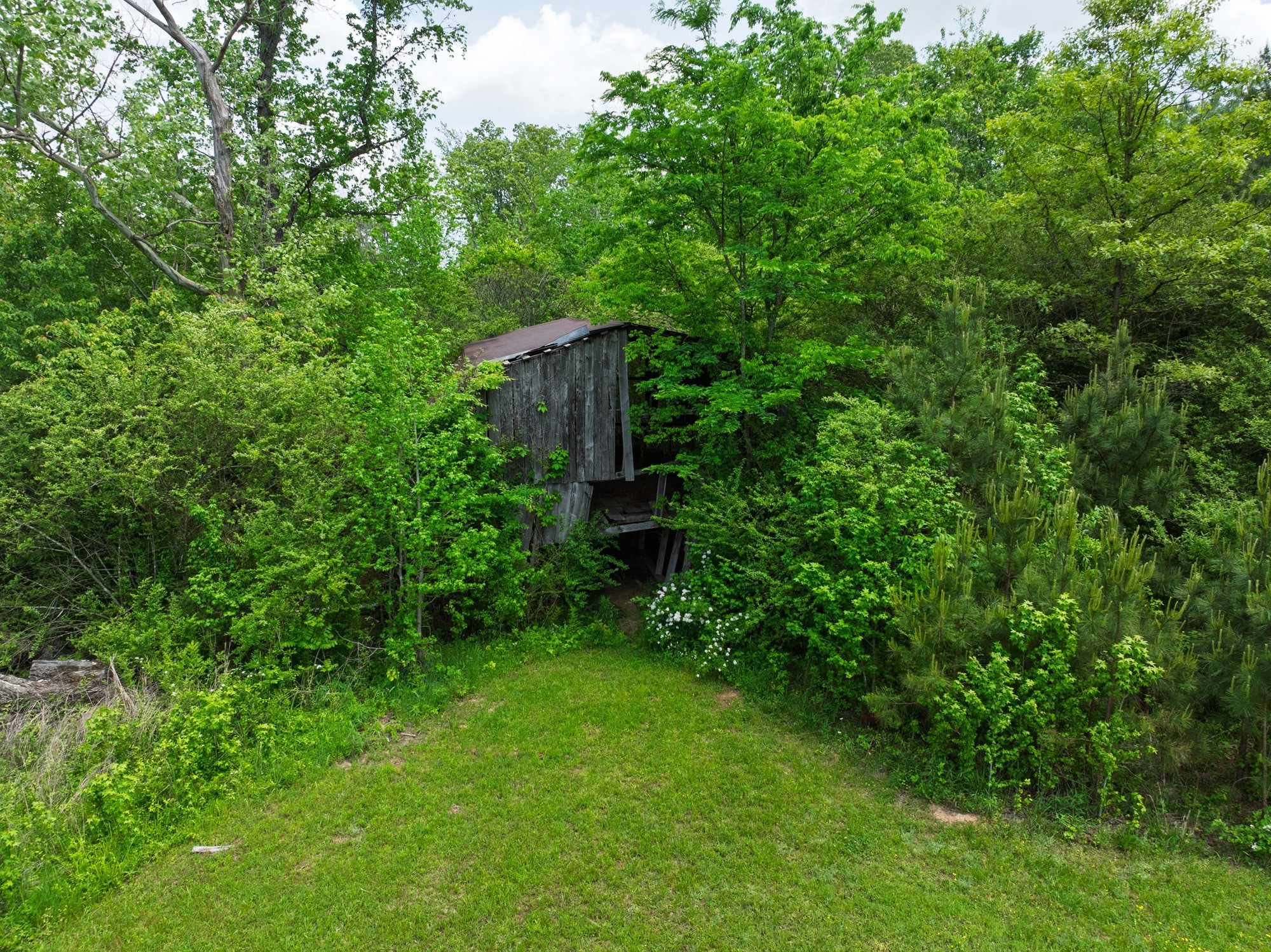 3080 Bible Hill Road Parsons, TN 38363 - Photo 67 of 76