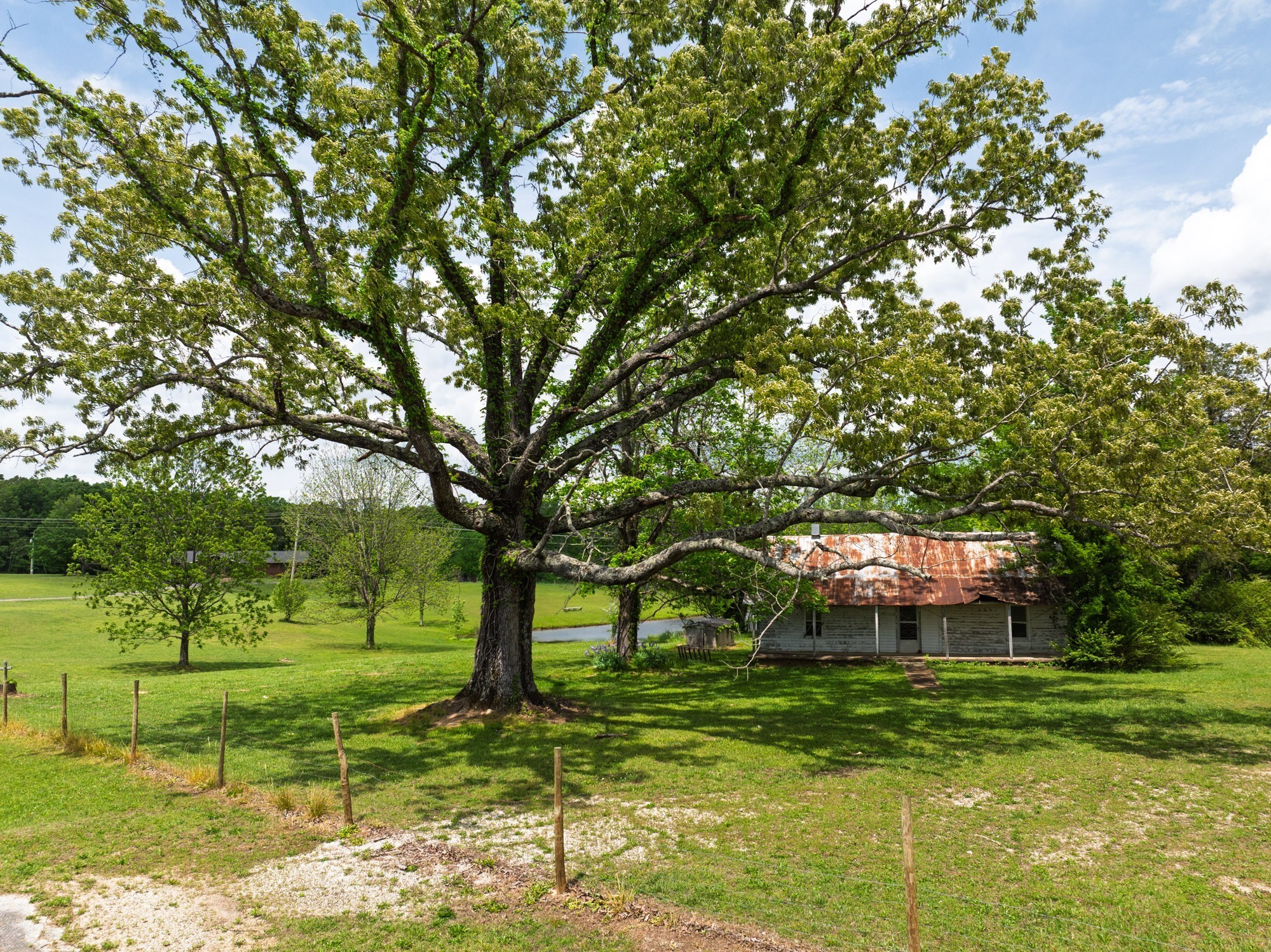 3080 Bible Hill Road Parsons, TN 38363 - Photo 68 of 76