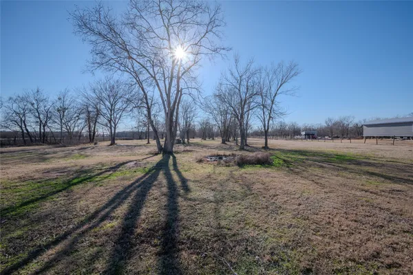 a view of dirt yard with a tree