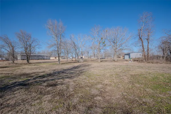 a view of dirt yard with a large tree