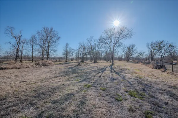 a view of dirt yard with a tree