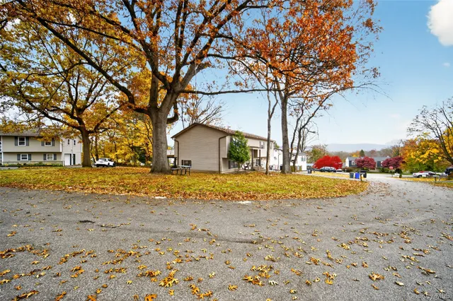 a view of road with large trees