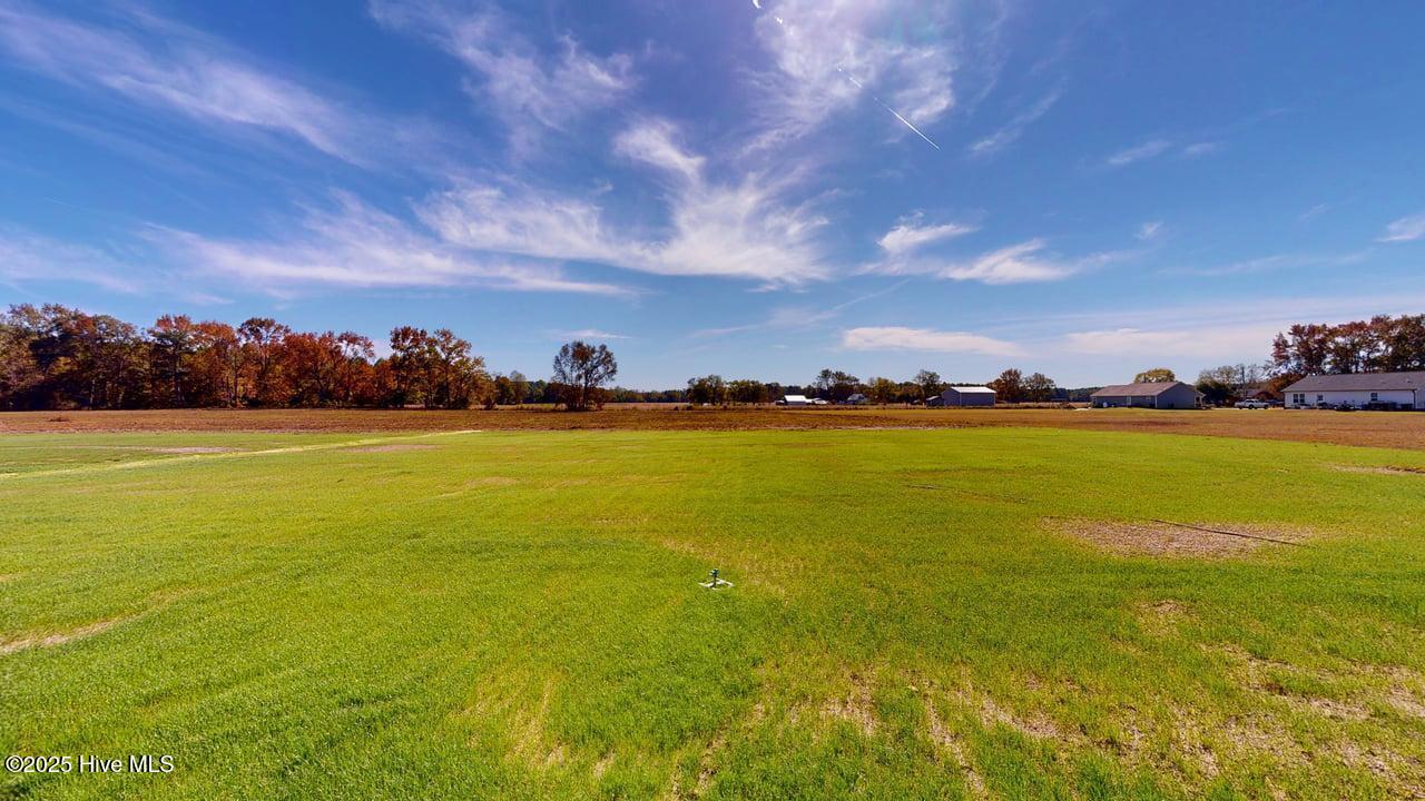 1399 Pinkney Road Pikeville, NC 27863 - Photo 4 of 21 Back yard