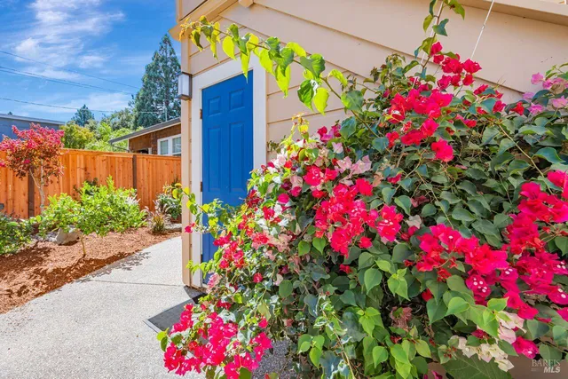 $1,250,000 | 105 Bayview Street, San Rafael, CA 94901