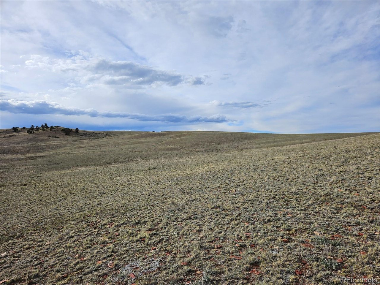 24139 Antero Road Hartsel, CO 80449 - Photo 14 of 35