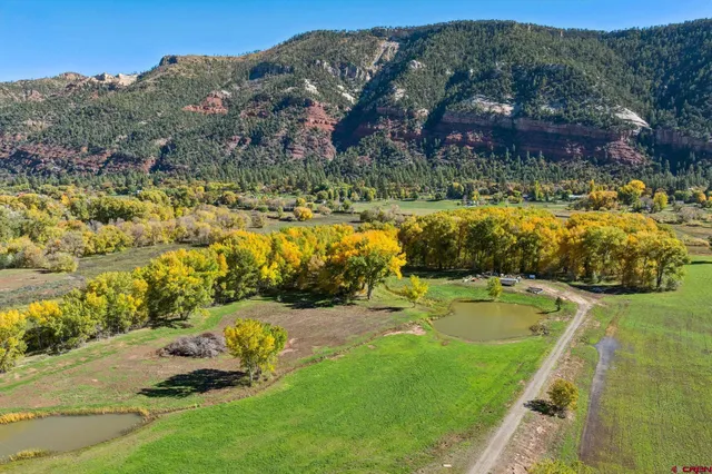 a view of a swimming pool with a garden