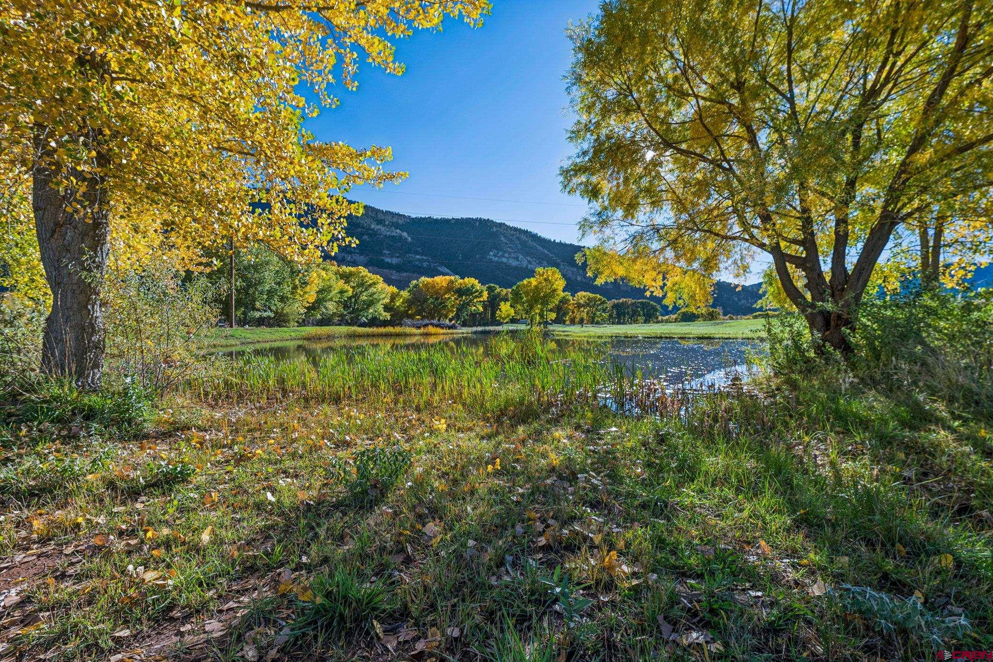 26068 Highway 550 Durango, CO 81301 - Photo 19 of 45