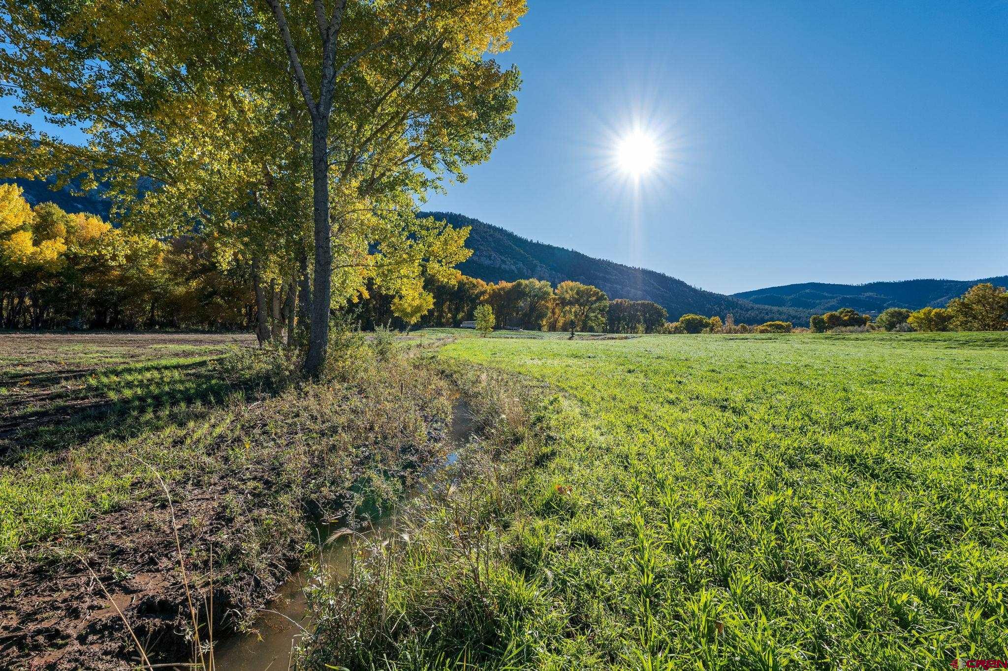 26068 Highway 550 Durango, CO 81301 - Photo 21 of 45