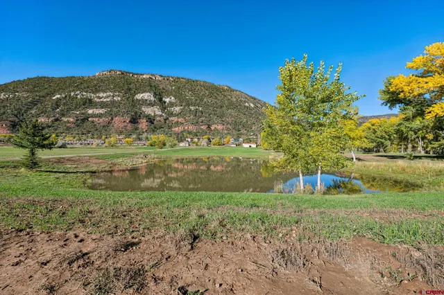 a view of a garden with a building in the background