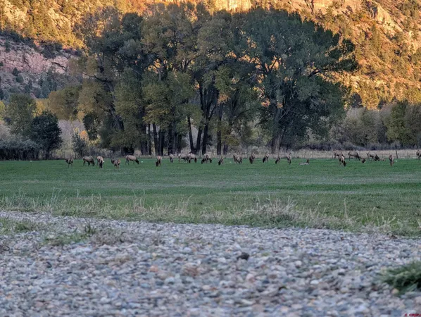 a view of a park