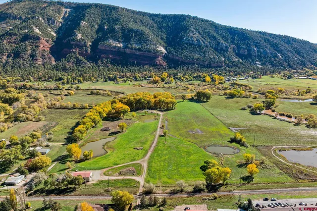a view of a area with a tree