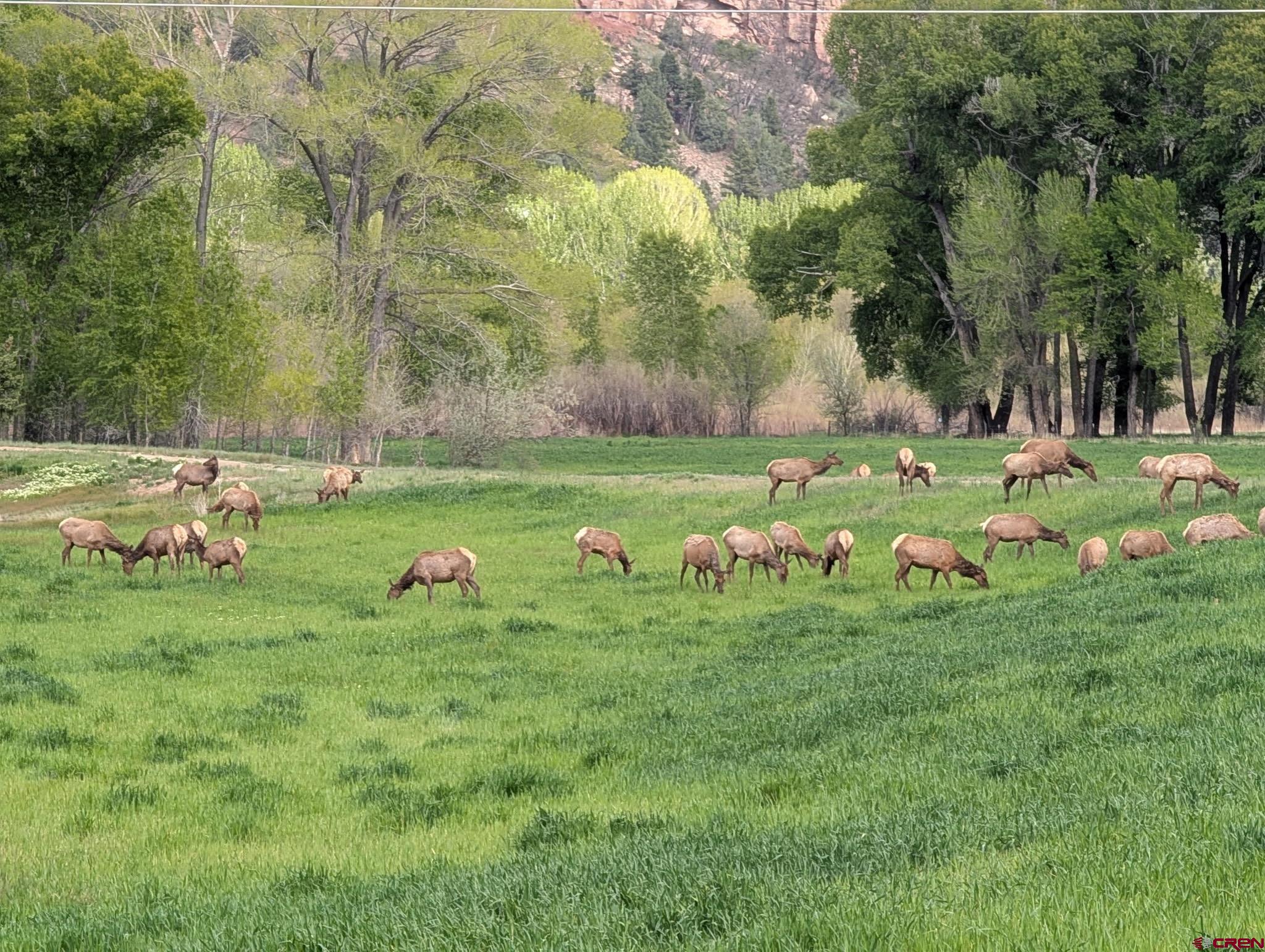 26068 Highway 550 Durango, CO 81301 - Photo 10 of 45