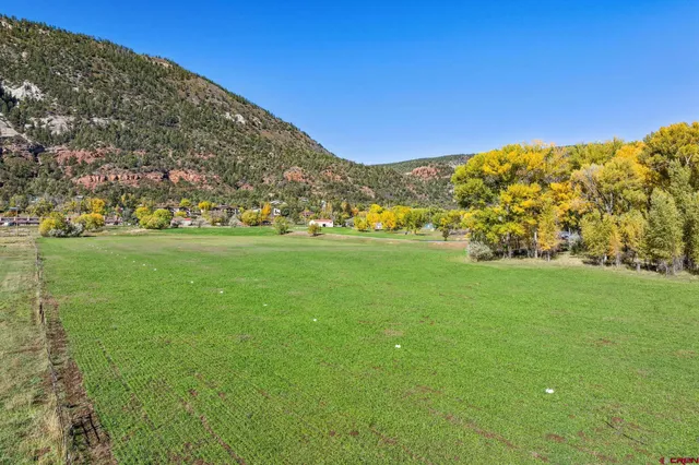a view of a field with an trees