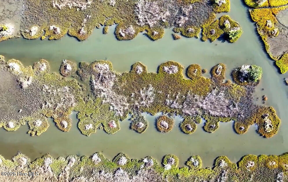 132 Royal Palms Way Holly Ridge, NC 28445 - Photo 21 of 26 IMG_9843