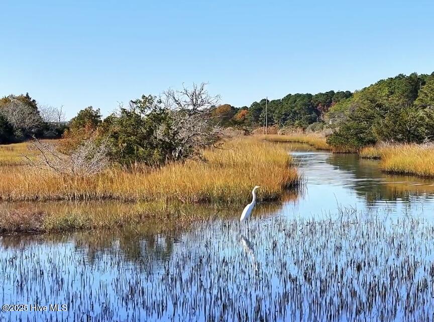 132 Royal Palms Way Holly Ridge, NC 28445 - Photo 23 of 26 IMG_9834