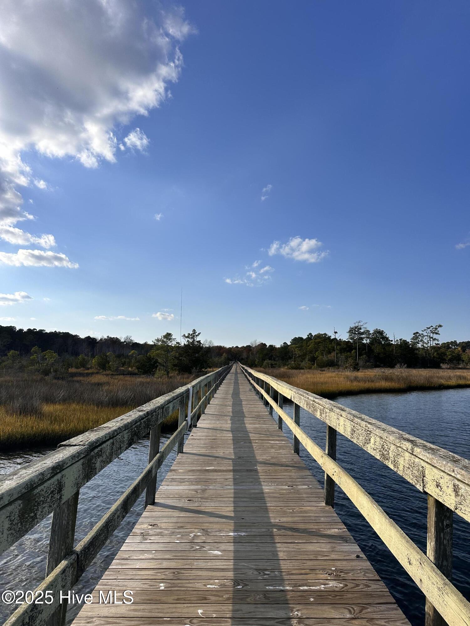 132 Royal Palms Way Holly Ridge, NC 28445 - Photo 25 of 26 IMG_9930