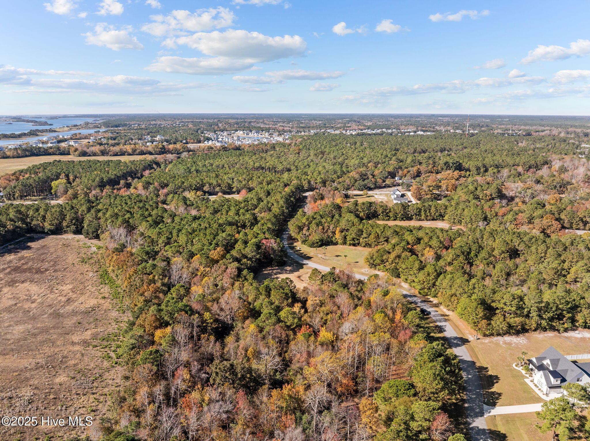 132 Royal Palms Way Holly Ridge, NC 28445 - Photo 9 of 26 2-web-or-mls-DJI_20251117085705_0004_D