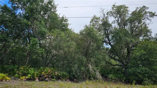 a view of a green field