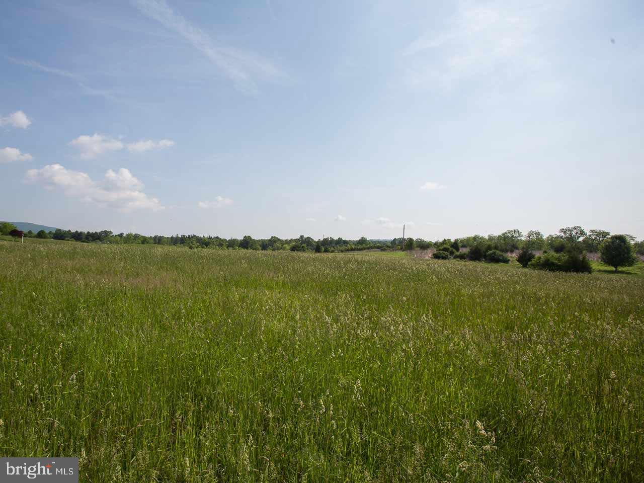 Lot 1 County Line Road York Springs, PA 17372 - Photo 3 of 16 Gallery Image 3