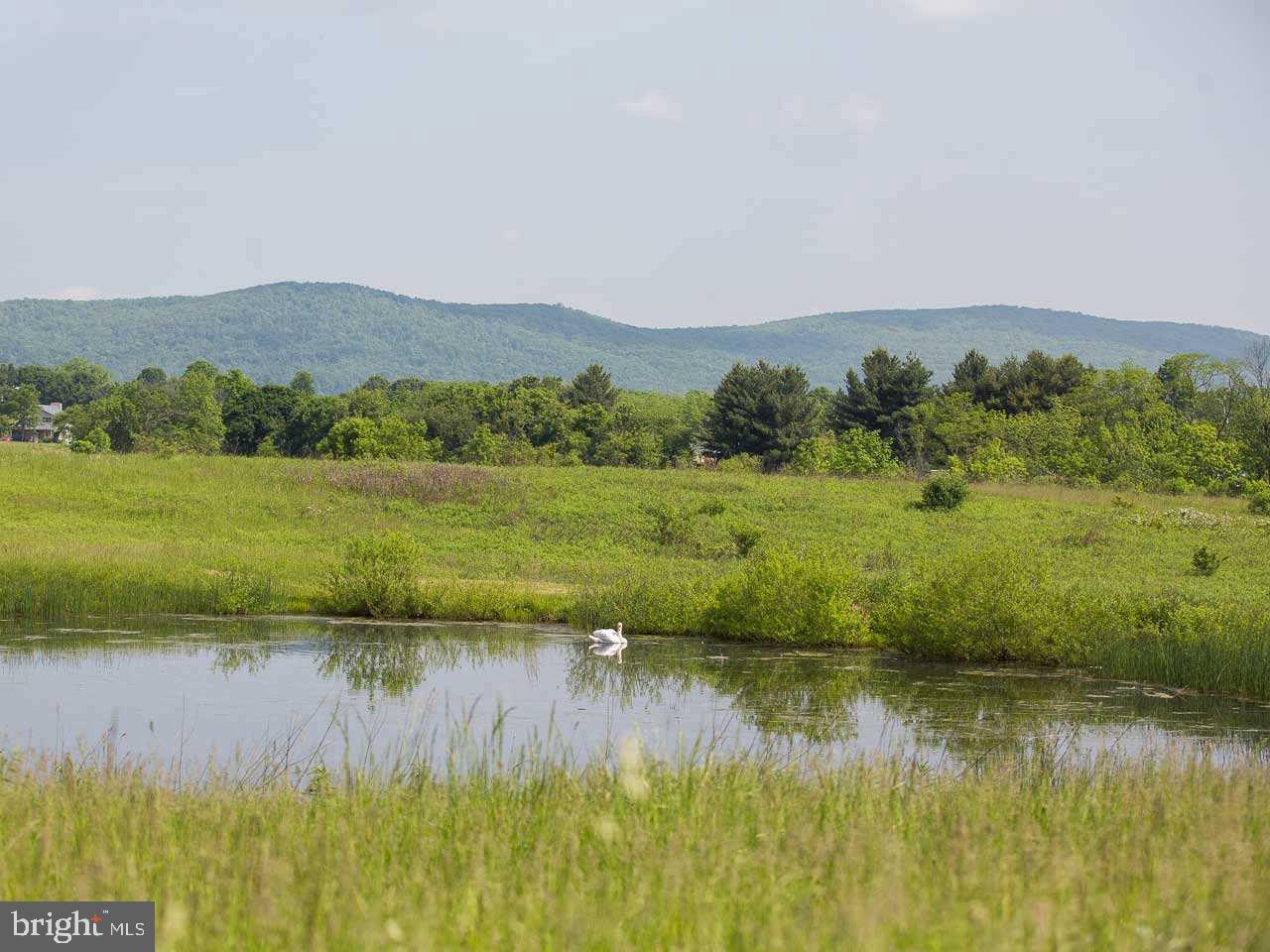 Lot 1 County Line Road York Springs, PA 17372 - Photo 4 of 16 Gallery Image 4