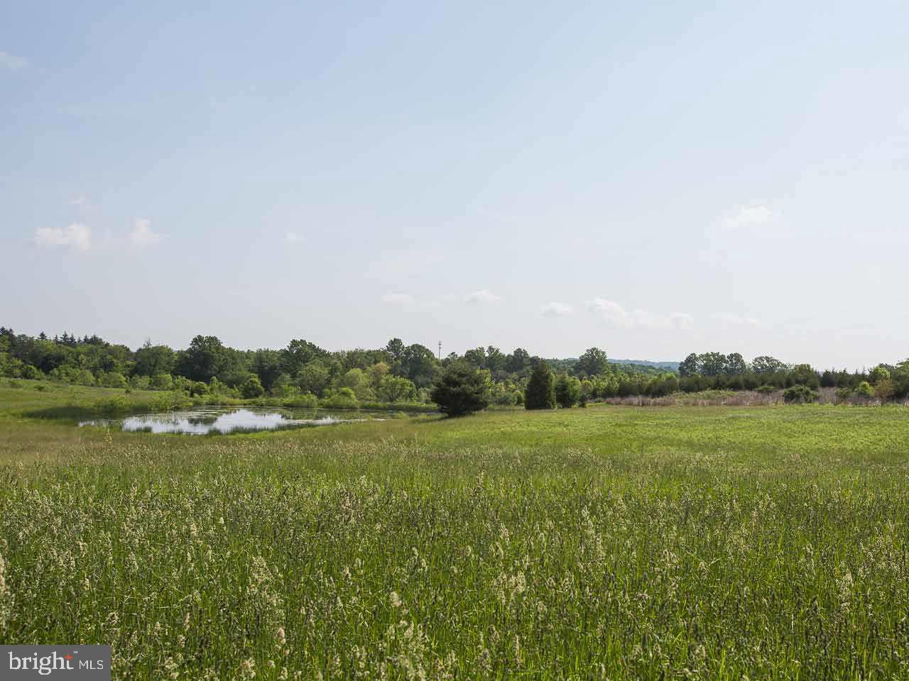 Lot 1 County Line Road York Springs, PA 17372 - Photo 5 of 16 Gallery Image 5