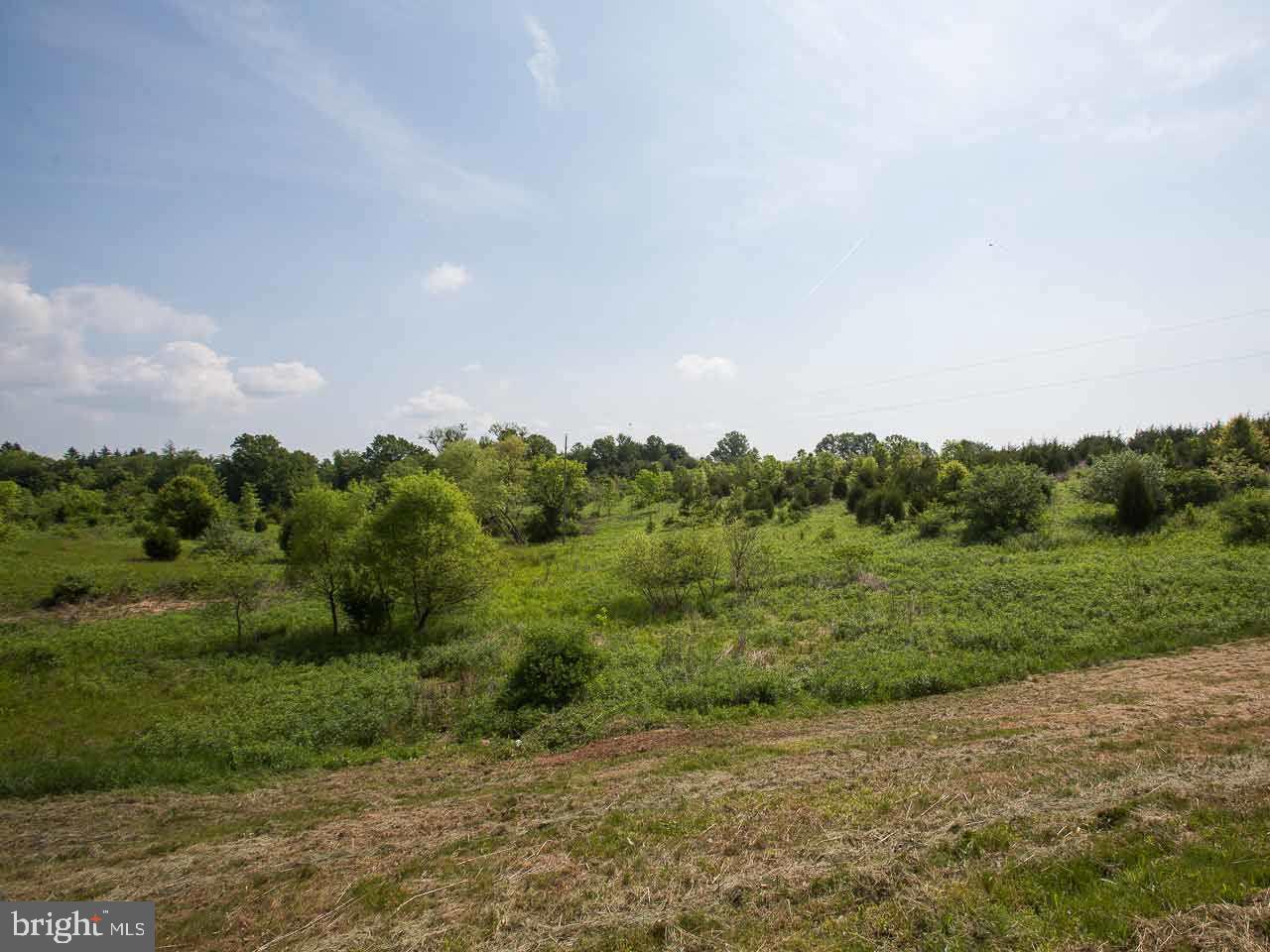 Lot 1 County Line Road York Springs, PA 17372 - Photo 8 of 16 Gallery Image 8