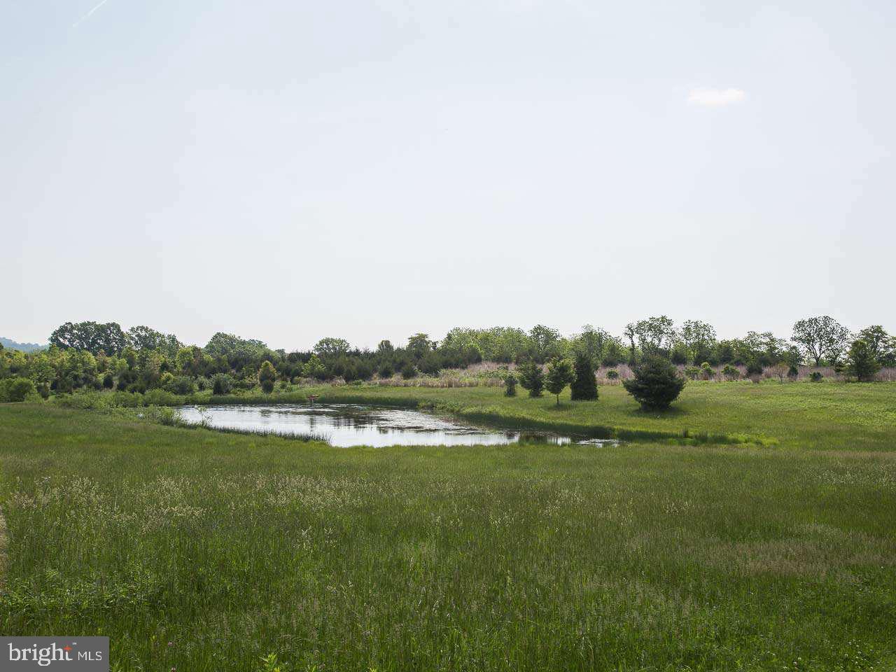Lot 1 County Line Road York Springs, PA 17372 - Photo 10 of 16 Gallery Image 10