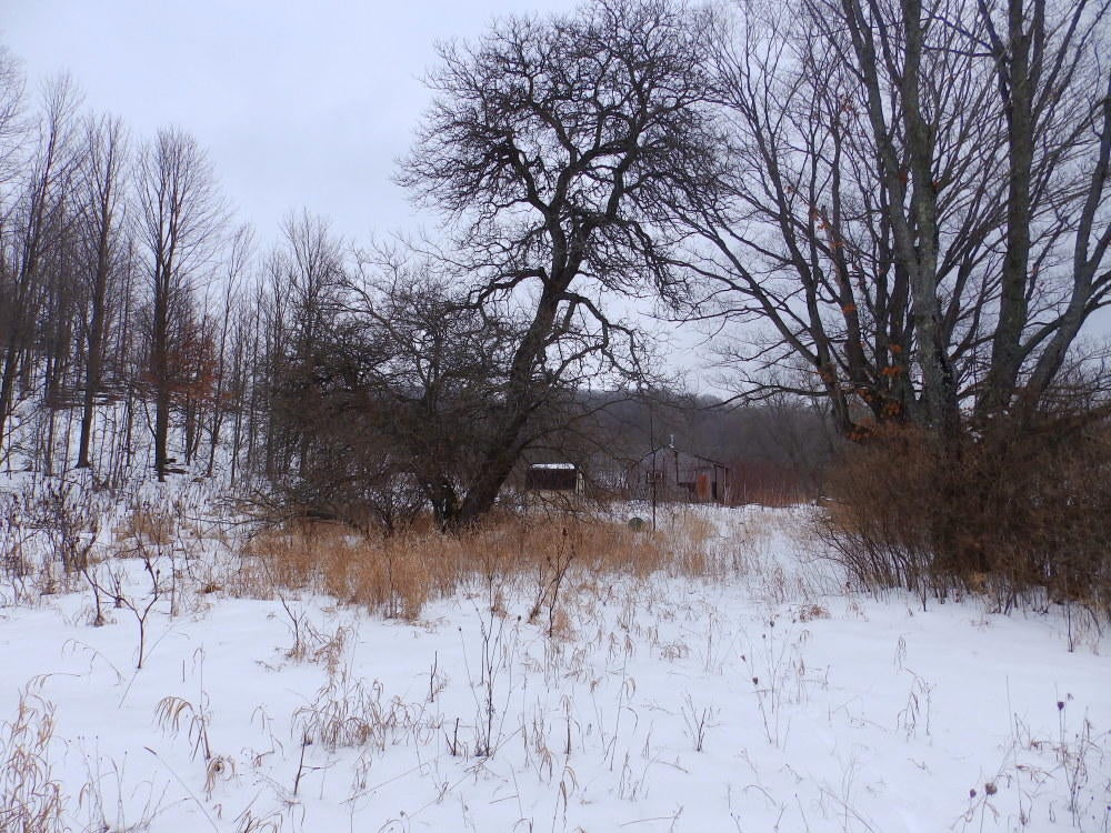 Keil Road Mancelona, MI 49659 - Photo 15 of 48 Gallery Image 15