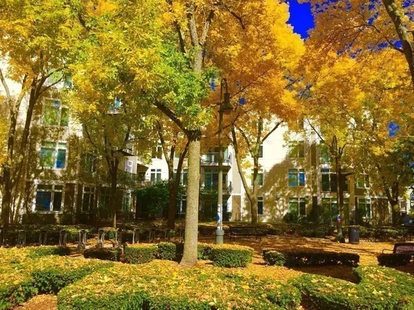 $4,500 | 7 Cameron Avenue, Unit 105, Cambridge, MA 02140