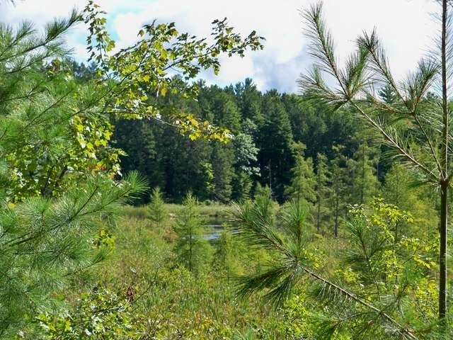 8075 Rainbow Road Lake Tomahawk, WI 54539 - Photo 16 of 20 Gallery Image 16