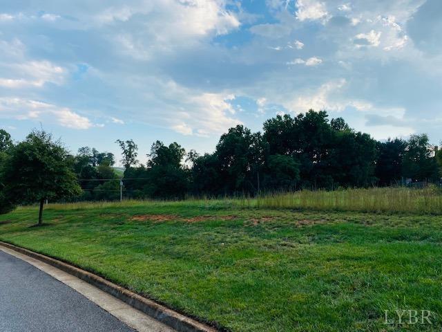 435 Coffee Road Lynchburg, VA 24503 - Photo 2 of 2 Gallery Image 2
