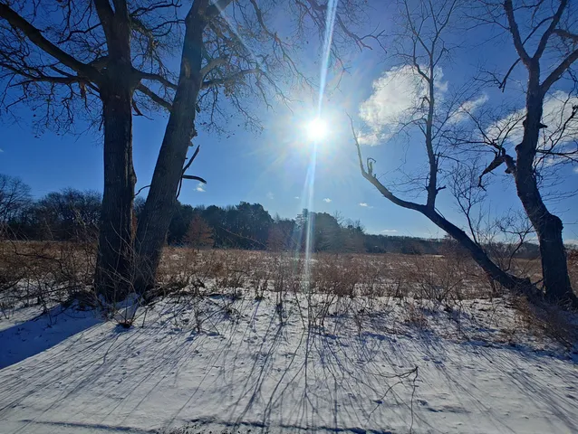 a view of a pathway of a yard