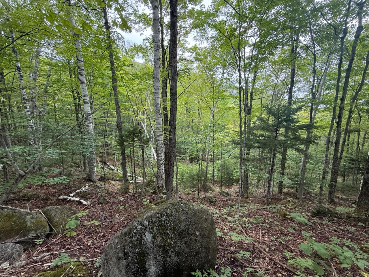 0 Adrians Acres Road Keene Valley, NY 12943 - Photo 2 of 5 IMG_4952