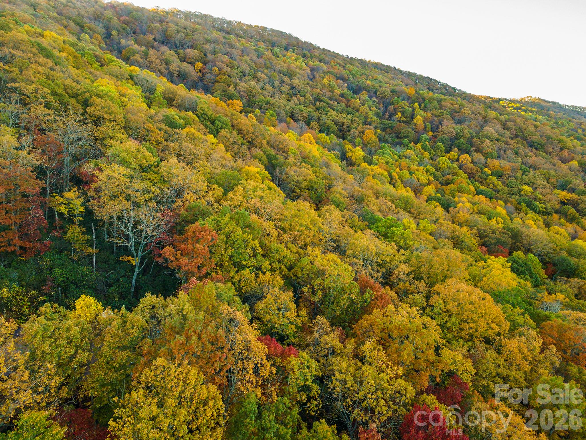 Tbd Summer Haven Road, Unit 16 Swannanoa, NC 28778 - Photo 32 of 45