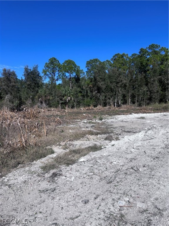 2702 26th Street West Lehigh Acres, FL 33971 - Photo 4 of 4