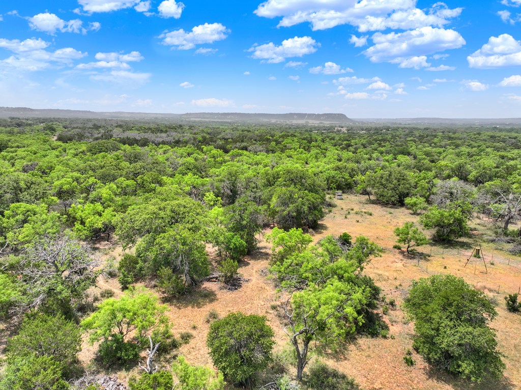0 Langes Mill Road Doss, TX 78618 - Photo 13 of 15 Gallery Image 13