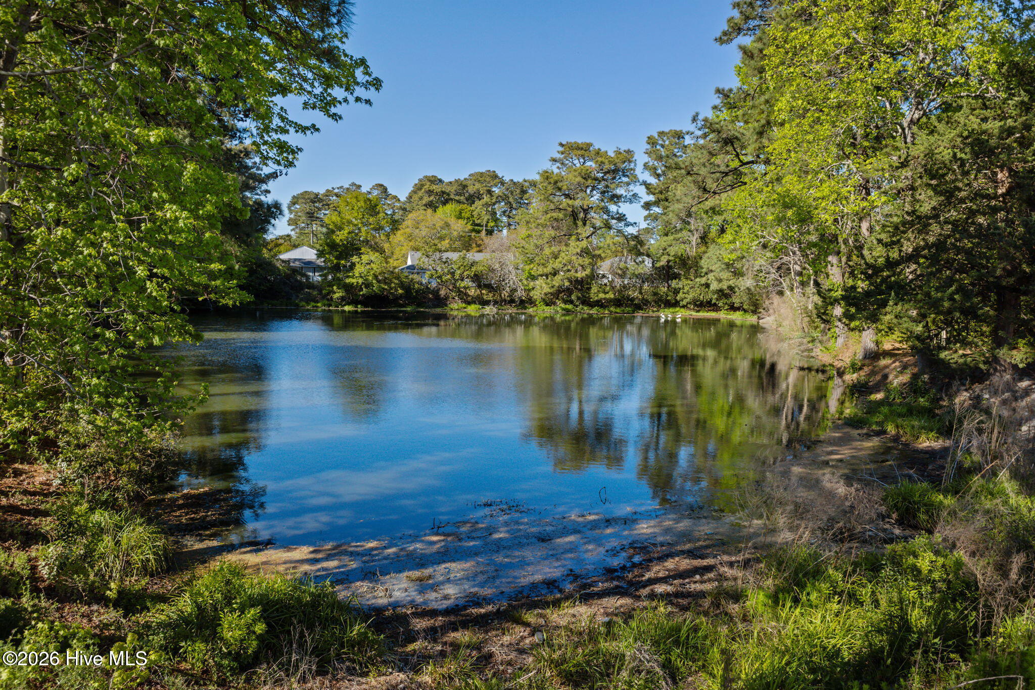 303 Barbour Road, Unit 1004 Morehead City, NC 28557 - Photo 25 of 29 Pond