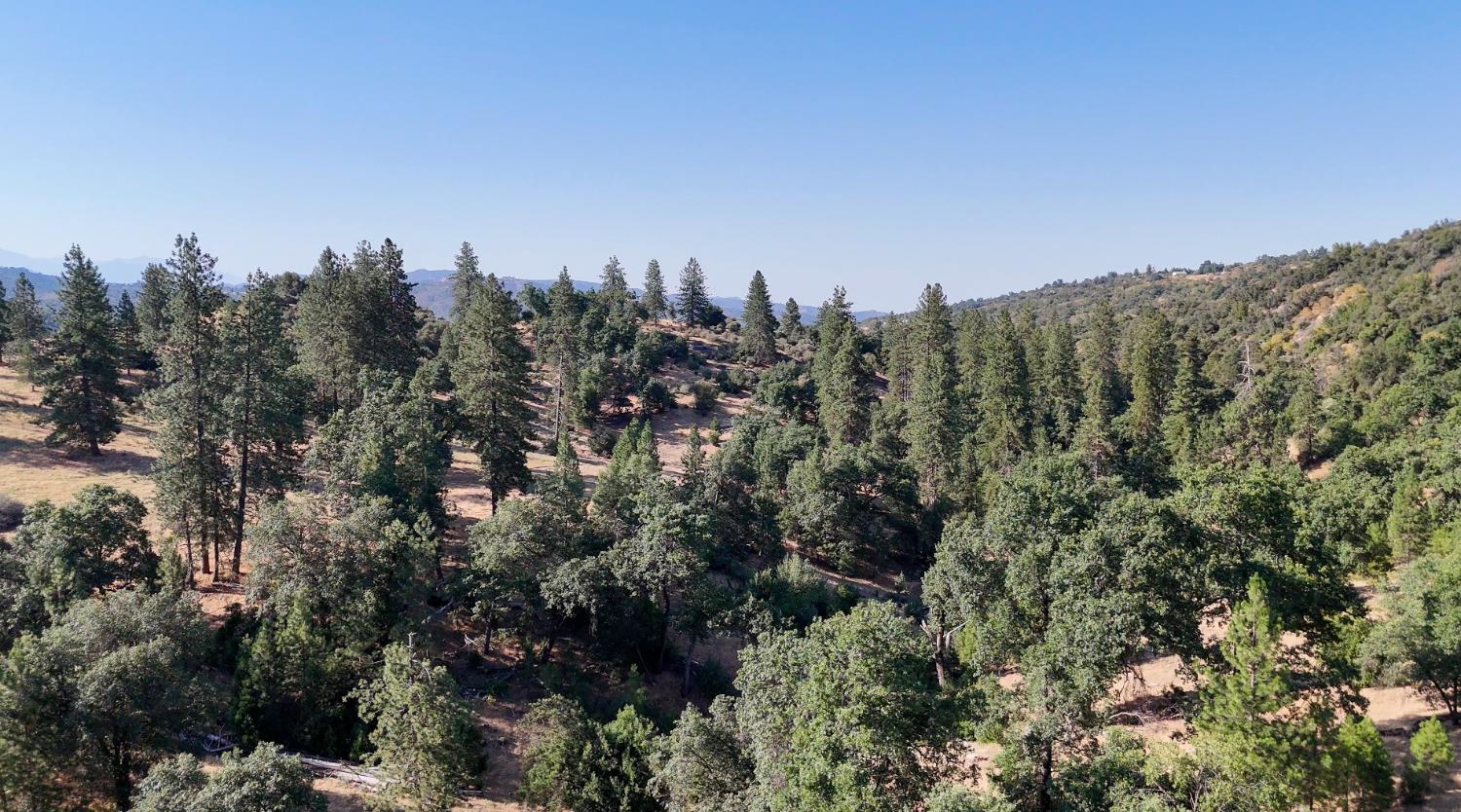 0 Whitaker Forest Road Miramonte, CA 93603 - Photo 39 of 78 a view of a city with lush green forest