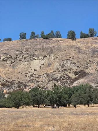 a view of ocean view with large trees