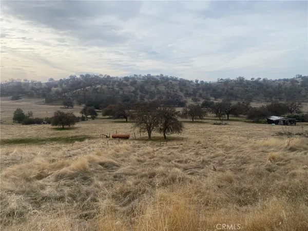 a view of outdoor space with green field and covered with trees