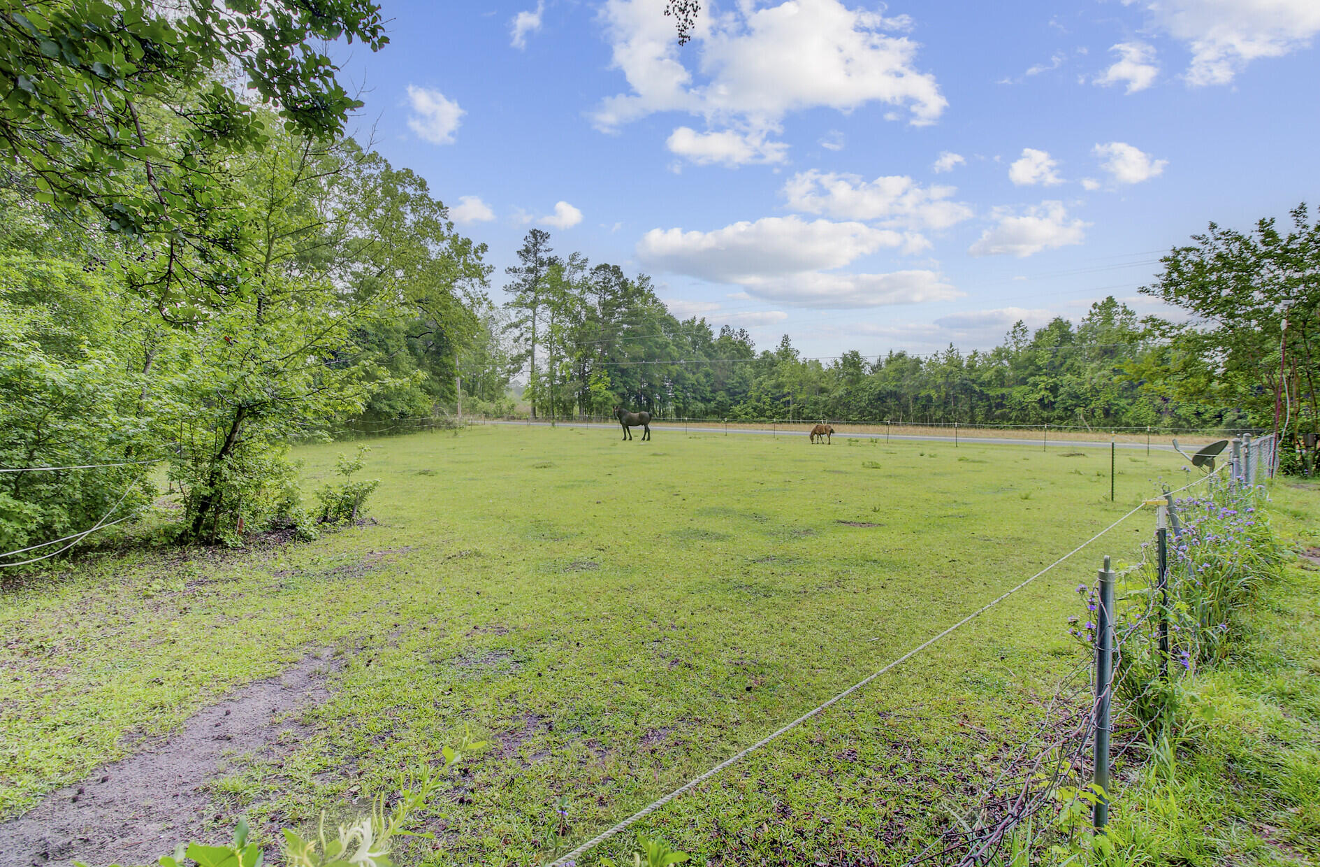1050 Mt Zion Road St. George, SC 29477 - Photo 4 of 48 1050 Mt Zion Road