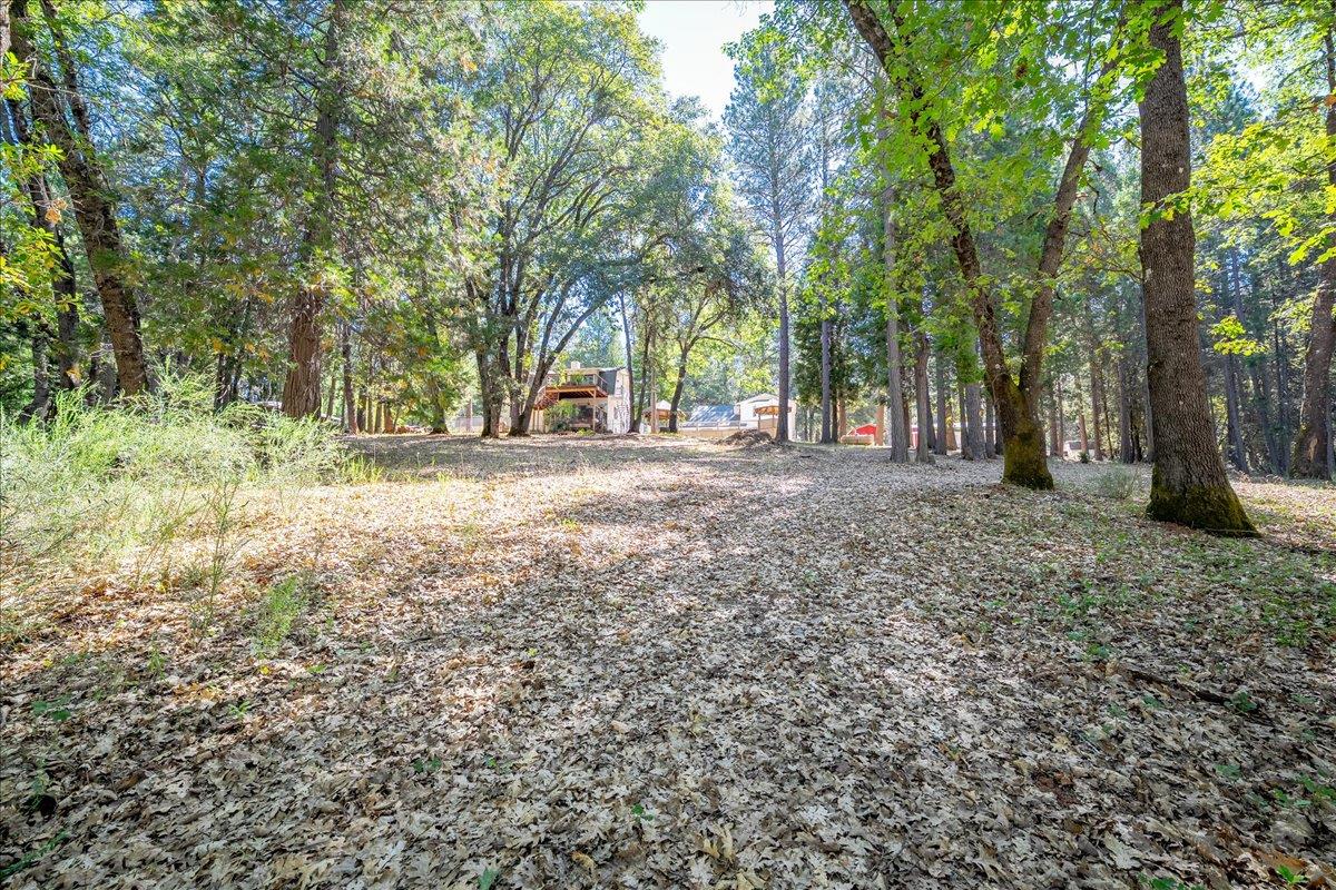 4380 Slodusty Road Garden Valley, CA 95633 - Photo 59 of 63