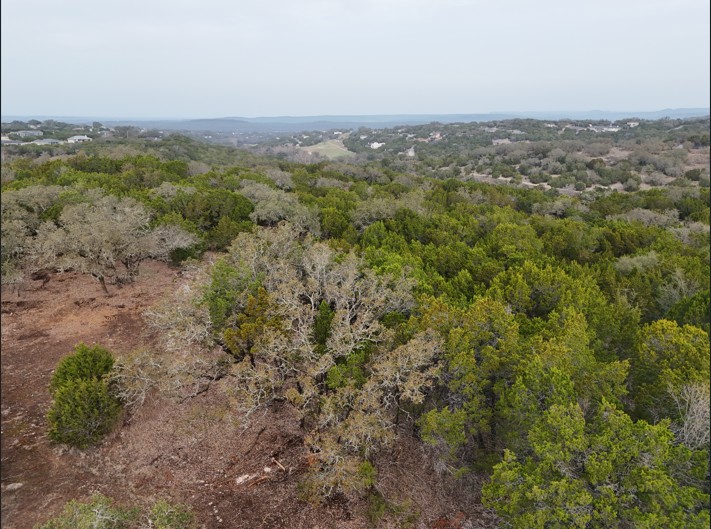 20114 Victoria Chase Leander, TX 78645 - Photo 13 of 14 a view of a forest with a yard