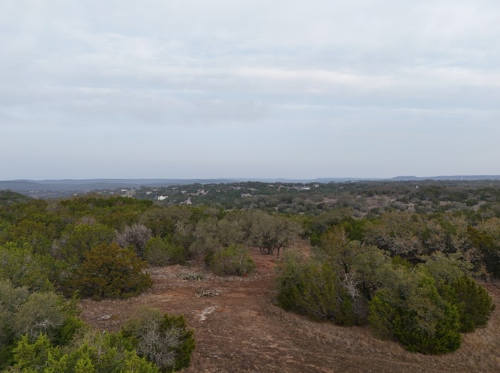 20114 Victoria Chase Leander, TX 78645 - Photo 10 of 14 an aerial view of forest