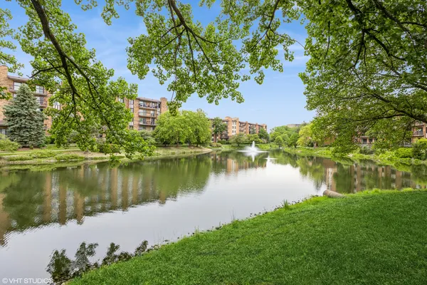 a body of water with a tree in the background